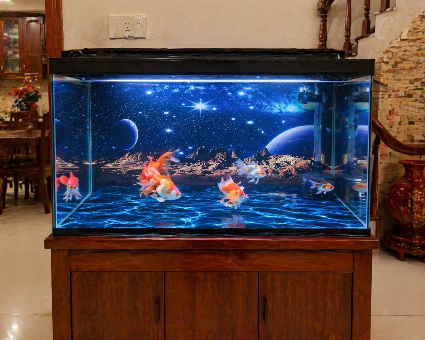 A Unique Aquarium Setup in New York – Turning a Fish Tank into a Cosmic Scene