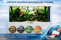 Ancient Driftwood Forest Aquarium Background – 3D Tank Wallpaper - Aquarium Backround Trung3D