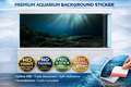 Sunbeam Riverbed aquarium background decal by Aquarium Background Trung3D, featuring a realistic 3D fish tank backdrop with riverbed scenery.
