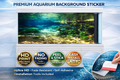 Aquarium Background Trung3D Ultra HD underwater decal with vibrant fish and coral scene for fish tank wallpaper decor