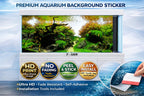 Ultra HD 3D Aquascape Aquarium Background – Forest Path with Rocks & Driftwood, Easy Install - Aquarium Backround Trung3D